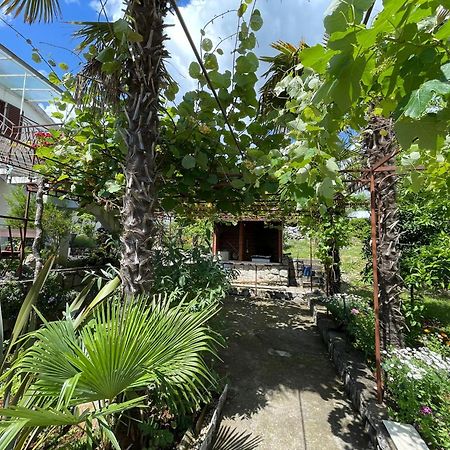 Apartments Miro Ičići 外观 照片
